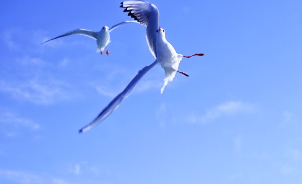 IMG_6401.JPG