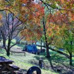 湖畔で初冬キャンプ①