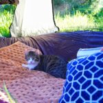 夏休みのデイキャンプ②