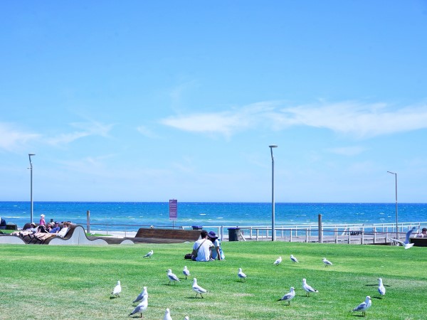 IMG_6725.JPG