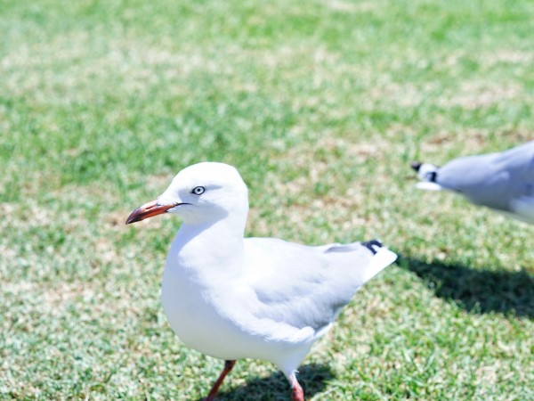 IMG_6723.JPG